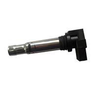 MAGNETI MARELLI 060717062012 Ignition Coil for AUDI,SEAT,SKODA,VW