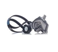 MAGNETI MARELLI 132011160041 Water pump and timing belt kit