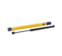 Gas Spring, boot/cargo area MAGNETI MARELLI 430719140700 For BMW