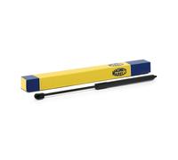 MAGNETI MARELLI 430719156600 Gas Spring, bonnet