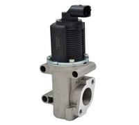 MAGNETI MARELLI 571822112007 EGR Valve for ALFA ROMEO,FIAT,OPEL,SAAB,SUZUKI