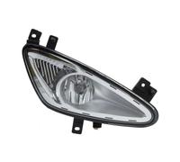 Magneti Marelli 710305074002 Fog Light, Right