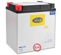 Magneti Marelli 8058045041351, MMLT5 Lithium Battery with BMS and Protez/Temp Sensor, Sizes: Unisex Adult, Multicoloured, One Size