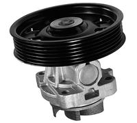 Magneti Marelli 81862 Water Pump