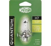 MAGNETI MARELLI QUANTUM ENERGY H7 Single Auto Bulb Long Life 12V 55W