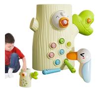 Magnetic Bird Feeding Set, Sensory Toys for Learning Fine Motor Skills | Woodpecker Feeding Set, Fine Motor Skills Game by