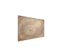 Magnetic Boards MetalBoard Wood Grain Tree Stump Trunk Wood Slice 90x60cm a Magnetic Metal Poster with an Imprint for All Types of Magnets,3D Printed + a Set of Accessories Included
