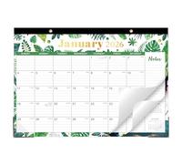 Magnetic Calendar for Refrigerator - Fridge Calendar 2025 from January 2025 to December 2025, Magnetic Calendar with Corner Protectors, 19"×11", 2025 Desk Calendar