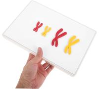 Magnetic Chromosome Change Display Model Set - Educational Meiosis & Mitosis Teaching Aid for Middle School Science Classes