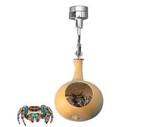 Magnetic Hiding Nest, Spring Spider House - Natural Pumpkin Housing Terrarium | Handmade Hiding Accessories for Spiders Terrarium Reptiles Amphibians Insect Animals Mini Animals Pets Au