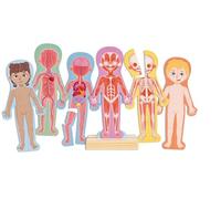 Magnetic Human Body Puzzle