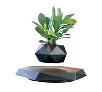 Magnetic Levitating Plant Pot, 360° Rotating Floating Flower Pot for Home and Office Decor, Unique Bonsai Design for Living Room and Study