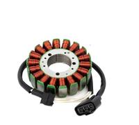 Magnetic Motor Coil Stator Applicable to YZFR1/YZF-R1/YZF R1 2002-2003 5PW-81410-00-00 5PW-81410-01 Accessories replacement