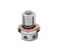 Magnetic Oil Drain Plug Bolt M12xP1 5 Compatible With YZF R25 MT 03 MT 25 YZF R3 YZ250 YZ250X XT250X WR250R WR250X Serow 250 Motorcycle Engine Oil Pan Screw(Silver)