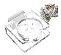 Magnetic Reptile Bowl - Acrylic Water Dish 5 X 4.5 X 2 Cm, Transparent Spider Feeder, Secure Pet Food Container | Crested Gecko Lizard Cameo