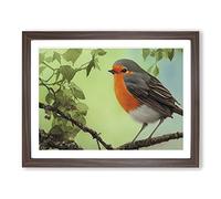 Magnetic Robin Bird H1022 Framed Print for Living Room Bedroom Home Office Décor, Wall Art Picture Ready to Hang, Walnut A2 Frame (64 x 46 cm)