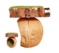 Magnetic Spider Cave - Handmade Walnut Hideaway Climbing Accessories | Handmade Magnetic Reptile and Amphibian Accessories Protection for Jumping Reptiles, Tarantulas and I