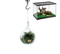 Magnetic Spider Shelters | Natural Magnetic Rest Habitat Hammock | Hammock for Jumping Spiders, Terrarium, Amphibians, Frogs, Rhinoceros Beetles, Lizards, Turtles,