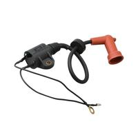 Magneto Coil 63V-85570-00 Ignition Coil Assy For Boat Motor 2 Stroke 9.9HP 13.5HP 15HP 63V-85570-00 63V-85570-01 63V-85570-02 Ignitions