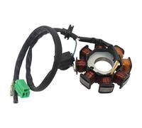 Magneto Coil 8 Poles Coils 50cc Ignition Stator Fit For Scooter Sunl Roketa Fit For Vespa ATV Quad Go Kart Buggy Parts Magneto stator assembly Motorcycle stator coil