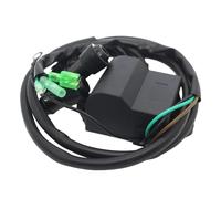 Magneto Coil Ignition Coil For CDI For Nissan For NS6B 2-stroke 2002 2-Stroke 2002-2003 For NS9.8B 2-Stroke 2003 3B2-06170-0 3B2-06060-0 3B2-06060-1 Ignitions