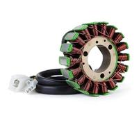 Magneto Coil Stator Ignition Plate, Ignition Stator Motorcycle Stator Coil for CBF250 CBX250 CBF CBX 250 2004-2010 2009 2008 2007 2006 200531120-KPF-911 Ignition Stator Magneto Plate