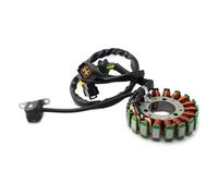 Magneto Engine Stator Coil Compatible With Suzuki For DRZ250 2001-2007 For DRZ400E 2000-2007 Motorbike Accessories Pole Magneto Engine Stator Generator Coil 32101-13E02