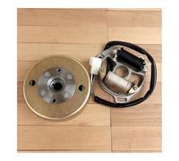 Magneto Engine Stator Magneto Stator Coil Flywheel Rotor For Scooter TB50 TB60