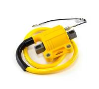 Magneto Flywheel Stator For NIBBI Motorcycle Dirt Bike ATV Scooter 2T 4T Engine Ignition System Moped Off-road For Kymco Racing Universal Coil(Yellow)