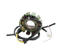 Magneto Generator Stator Motorcycle Coil Magneto Stator Ignition Generator Engine For SMC For Explorer Rex Kreidler Barossa 250 ATV Quad 35560-CBT-00