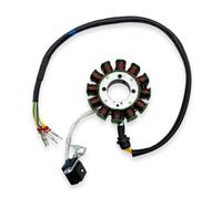 Magneto Ignition Coil Motorcycle 8/12 Pole Magneto Fly Wheel Rotor Generator Stator Coil Ignition For ZONGSHEN ZS174MN-3 CBS300 ZS174MN-5 NB300