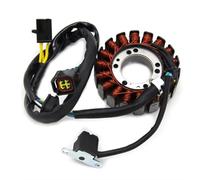 Magneto Ignition Coil Rotor Compatible With Suzuki For DR250R 1998 1999 2000 For DRZ250 2001 2002 2003 2004 2005 2006 2007 32101-13E00 Motorcycle Ignition Magneto Stator Coil