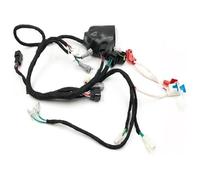 Magneto Ignition Coil Rotor Stator For 2-stroke 250 MT250 Motorbike CDI Ignition Device CDI Igniter Motorcycle Coil Wiring Ignition CDI Igniter(B)