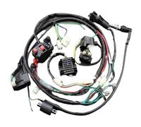 Magneto Ignition Coil Rotor Stator For 200CC 250cc Harness CDI Ignition COIL D8EA Solenoid Rectifier Motorcycle CDI Ignition Module Box