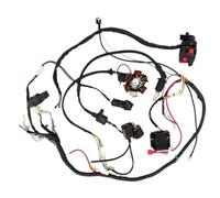 Magneto Ignition Coil Rotor Stator For GY6 125cc 150cc Stator Wire Wiring Harness Ignition Coil CDI Rectifier Parts Motorbike CDI Ignition Control Module