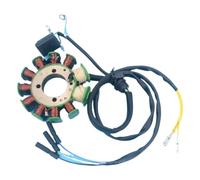 Magneto Stator Coil 11 Pole AC Compatible With TC200 RC200 TX200 Generator