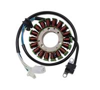 Magneto Stator Coil 4GY-81410-01-00 Compatible With TTR250 TT-R250 1999-2006 TT250R 1993-2004 RAID 1994-1996 TT 250R-A74F