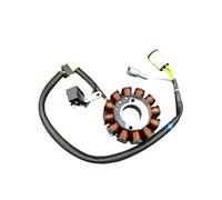 Magneto Stator For KAYO T6 NC250 NC450 Engine Motocross Magneto Generator Stator Coil Assembly Kit Parts 1x