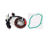 Magneto Stator For YB 125 125SPD For YBR 125 125ED YB125 YBR125 YB125SPD YBR125ED 3D9 51D Regulator Rectifier And Stator Coil Gasket 1X(Style 4)