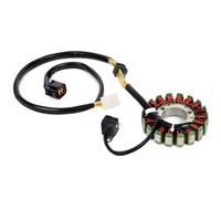 Magneto Stator Plate Coil Compatible With For KLX400 For KLX400R 2003 2004 Motorbike Accessories Coil Wires Stator Magneto Replacemen 21003-S007
