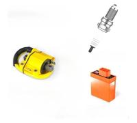 Magneto Stator Plate For 50cc For D9RIV Spark Ignition Device Moped Scooter Accessories CDI Box Motorcycle BOX Igniter Coil Unit(Ignition device set)