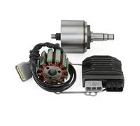 Magneto Stator Plate For FZ8N FZ8S FZ1 2006-2010 2014 2013 2014 2015 For R1 2004-2008 Stator Flywheel Rotor Regulator Gasket Replacement Accessories Stators Coil