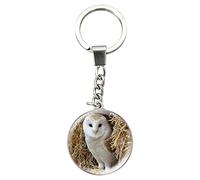Magnidome Deluxebase Owl Keychain - Crystal Glass Dome Animal Key Ring with Stainless Steel Chain, Cute Owl Key Holder for Fun Bag Charms and Novelty Gifts.