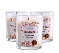 Magnificent 101 Abundance Set of 3 Candles