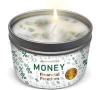 Magnificent 101 Long Lasting Money Smudge Candle | 6 Oz - 35 Hour Burn | All Natural & Organic Soy Wax Candle for Spiritual Meditation, Purification & Manifestation | Limitless Financial Horizons