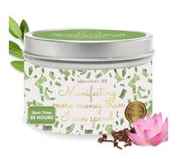 Magnificent 101 MANIFESTING More Money Than I CAN Spend Tin Candle 6oz