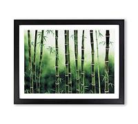 Magnificent Bamboo Forest Framed Print | A4 Black Framed Wall Art | Ready to Hang | Modern Landscape Picture | Living Room Bedroom Lounge Office