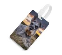 Magnificent Miniature Schnauzers Luggage Tags for Suitcases Cute ID Tags Travel Baggage Tag Name Tags for Women Men