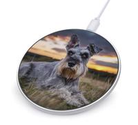 Magnificent Miniature Schnauzers Wireless Charger Phone Wireless Charging Pad Charge Mat for Women Men