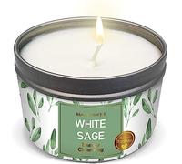 MAGNIFICENT101 Pure White Sage Smudge Candle for House Energy Cleansing, Banishes Negative Energy I Purification and Chakra Healing - Natural Soy Wax Tin Candle (Pure White Sage, 6 oz)